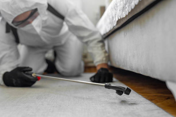 Professional Bed Bug Control technician working in Franklinville, NJ