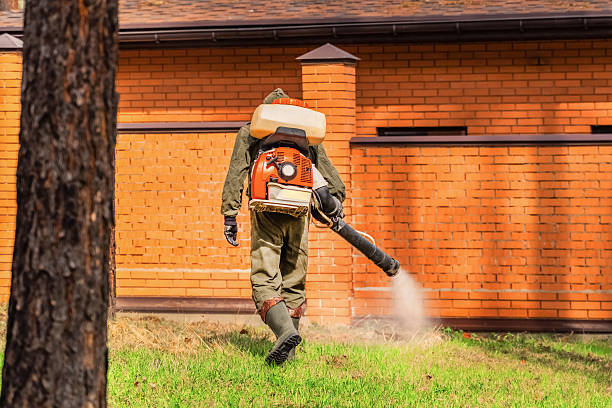 Trusted Mosquito Control service in Franklinville, NJ - Nex Pest Control